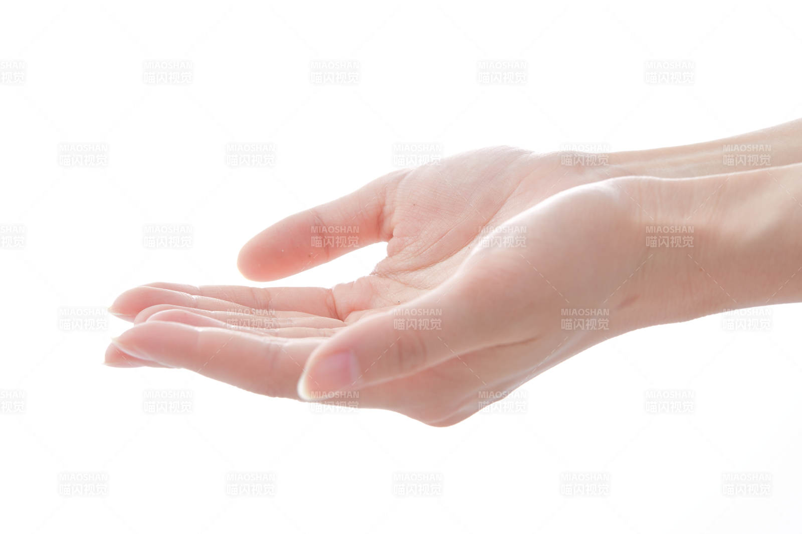 纤细柔美的女性手部特写图片