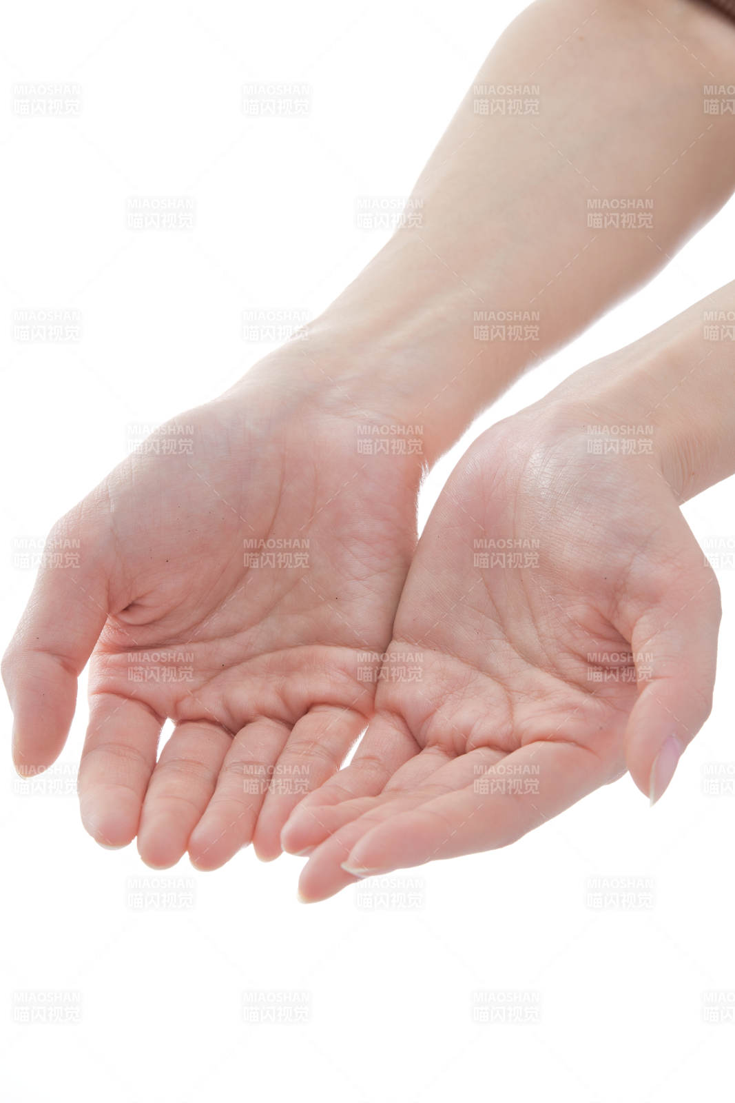 纤细柔美的女性手部特写图片