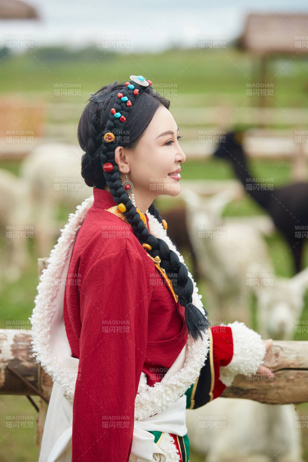 身穿藏族服饰在草原景区拍照的美女图片