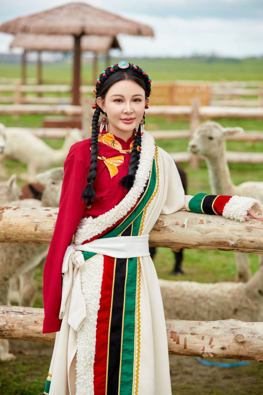 穿藏族服饰的姑娘在羊驼饲养基地拍照图片