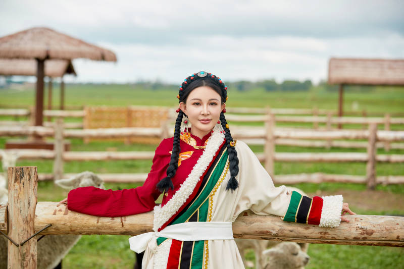 穿藏族服饰的姑娘在羊驼饲养基地拍照图片