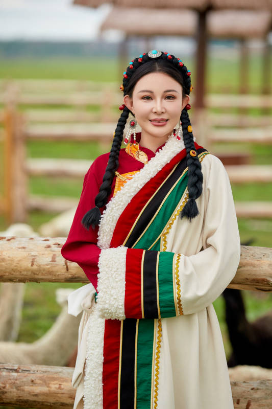 穿藏族服饰的姑娘在羊驼饲养基地拍照图片