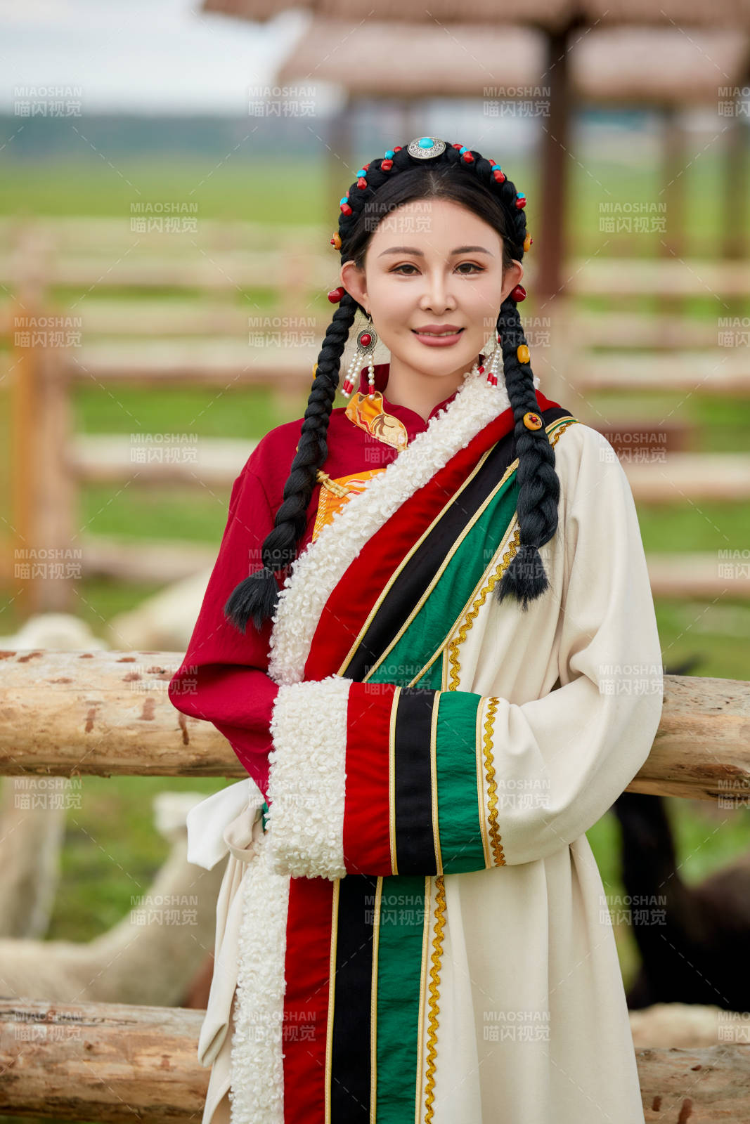 穿藏族服饰的姑娘在羊驼饲养基地拍照图片