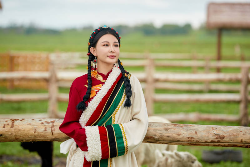 穿藏族服饰的姑娘在羊驼饲养基地拍照图片