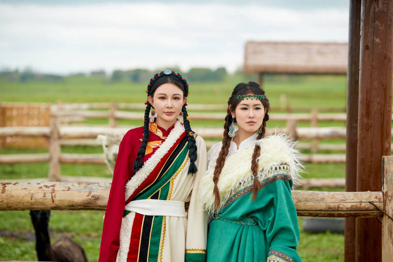 身穿藏族服饰的闺蜜在羊驼饲养基地拍照图片