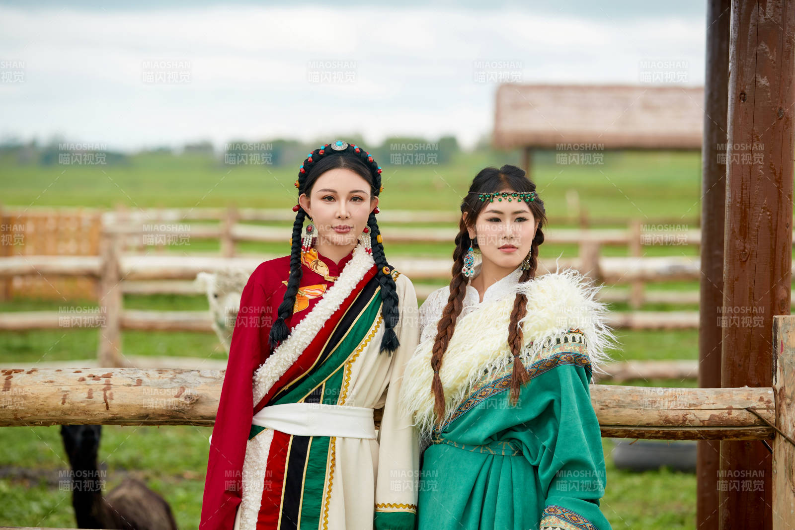 身穿藏族服饰的闺蜜在羊驼饲养基地拍照图片
