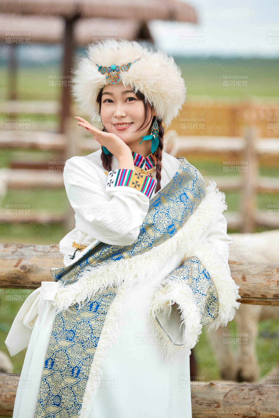 穿藏族服饰的姑娘在羊驼饲养基地拍照图片