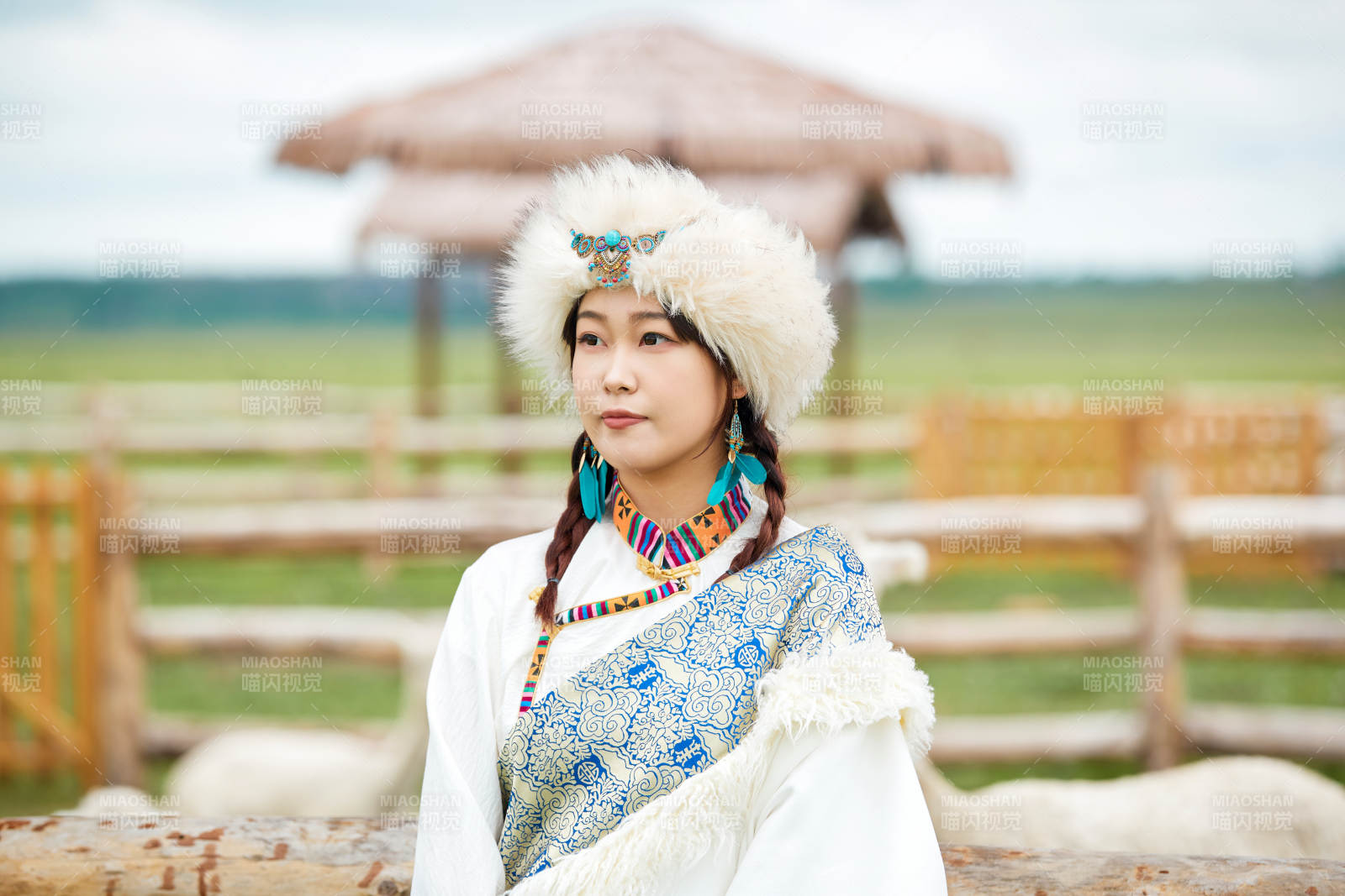 穿藏族服饰的姑娘在羊驼饲养基地拍照图片