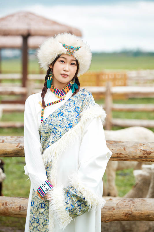 穿藏族服饰的姑娘在羊驼饲养基地拍照图片