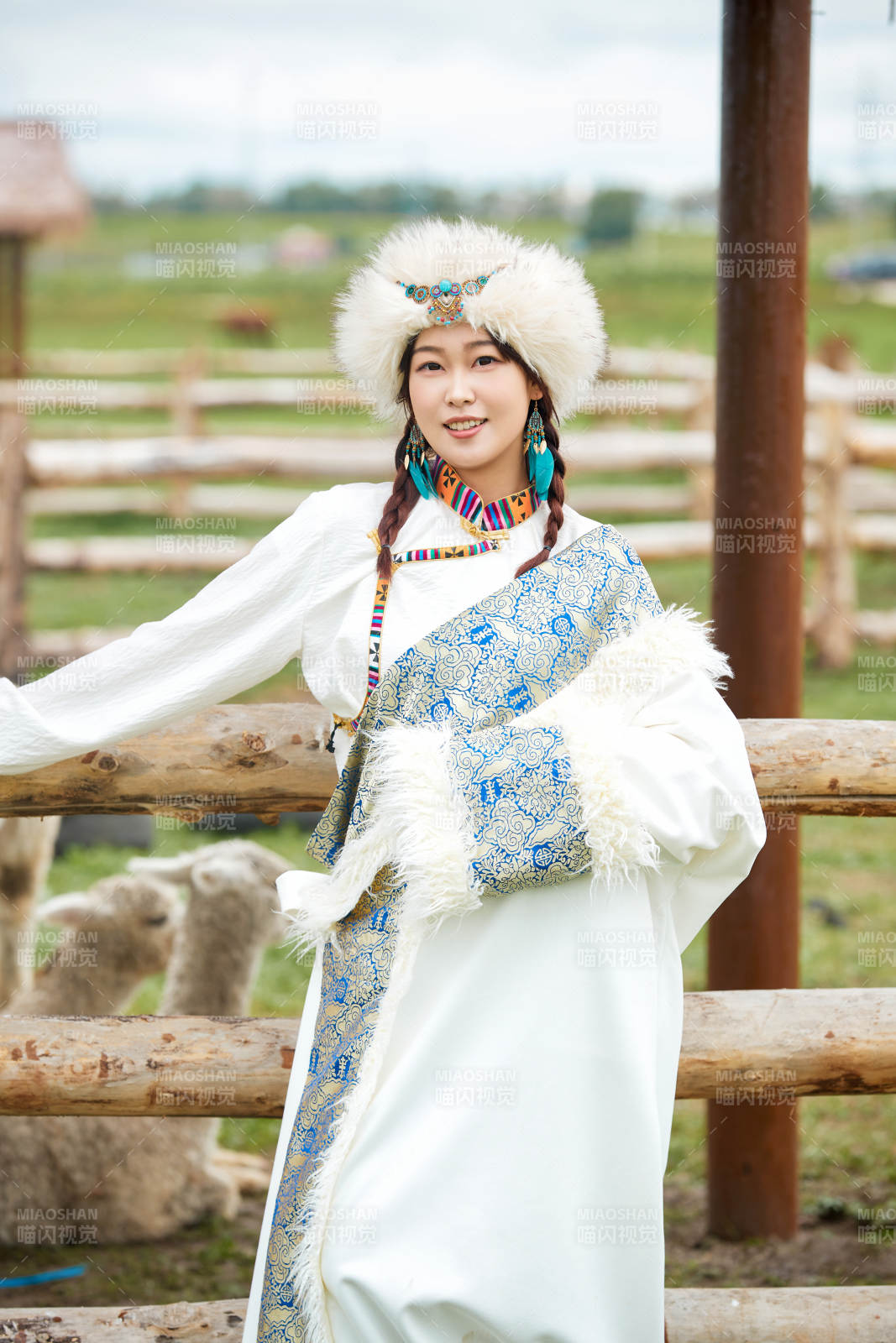 穿藏族服饰的姑娘在羊驼饲养基地拍照图片