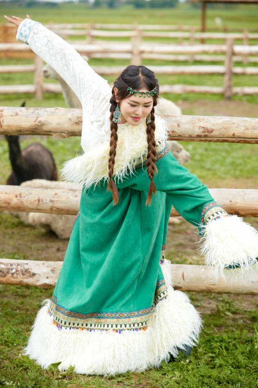 穿藏族服饰的姑娘在羊驼饲养基地拍照图片