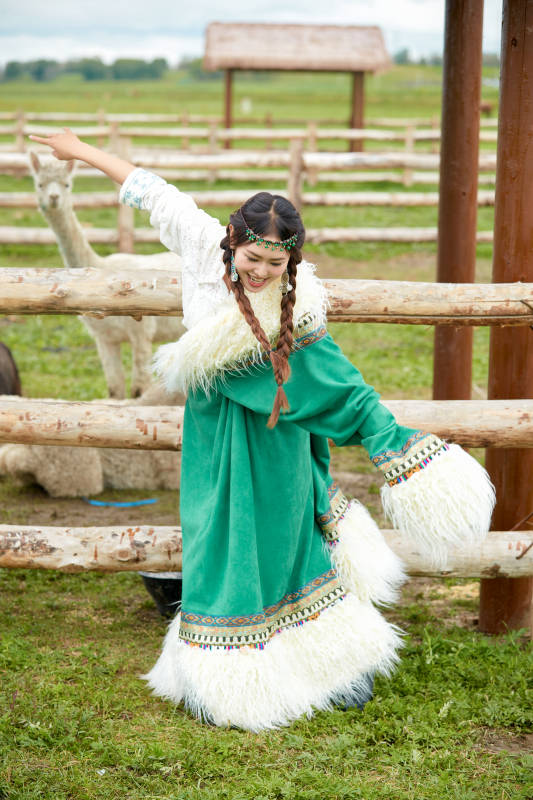 穿藏族服饰的姑娘在羊驼饲养基地拍照图片