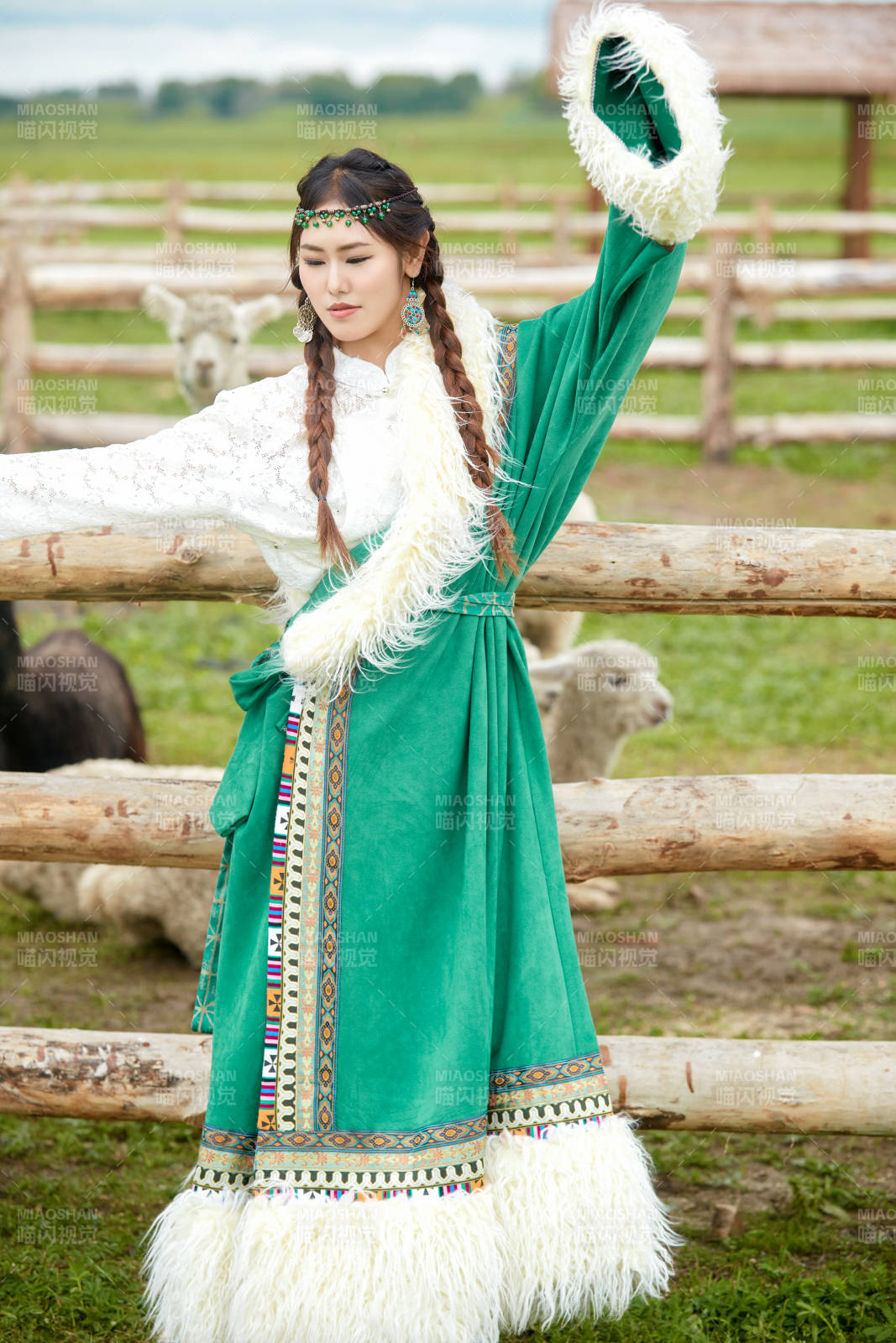 穿藏族服饰的姑娘在羊驼饲养基地拍照图片