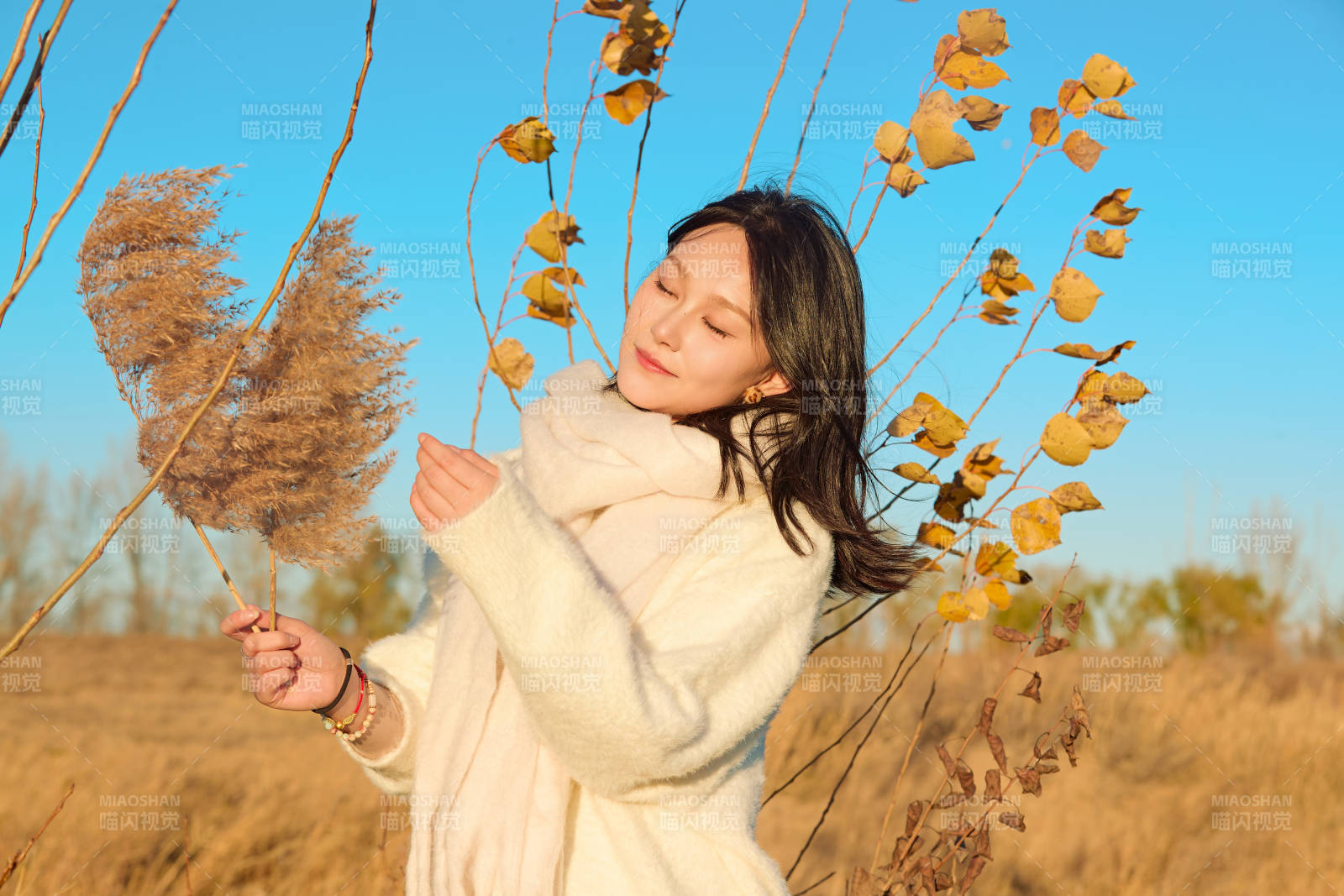 秋天午后在金灿灿的芦苇荡里的亚洲美女图片