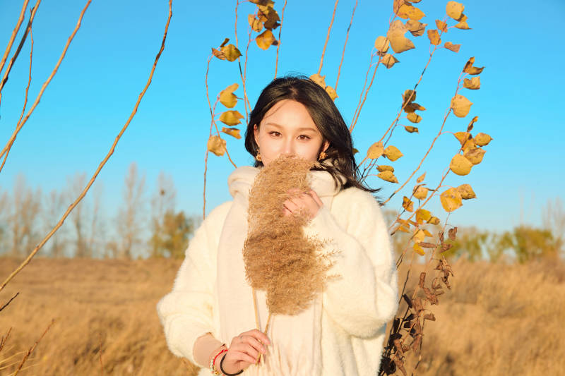秋天午后在金灿灿的芦苇荡里的亚洲美女图片