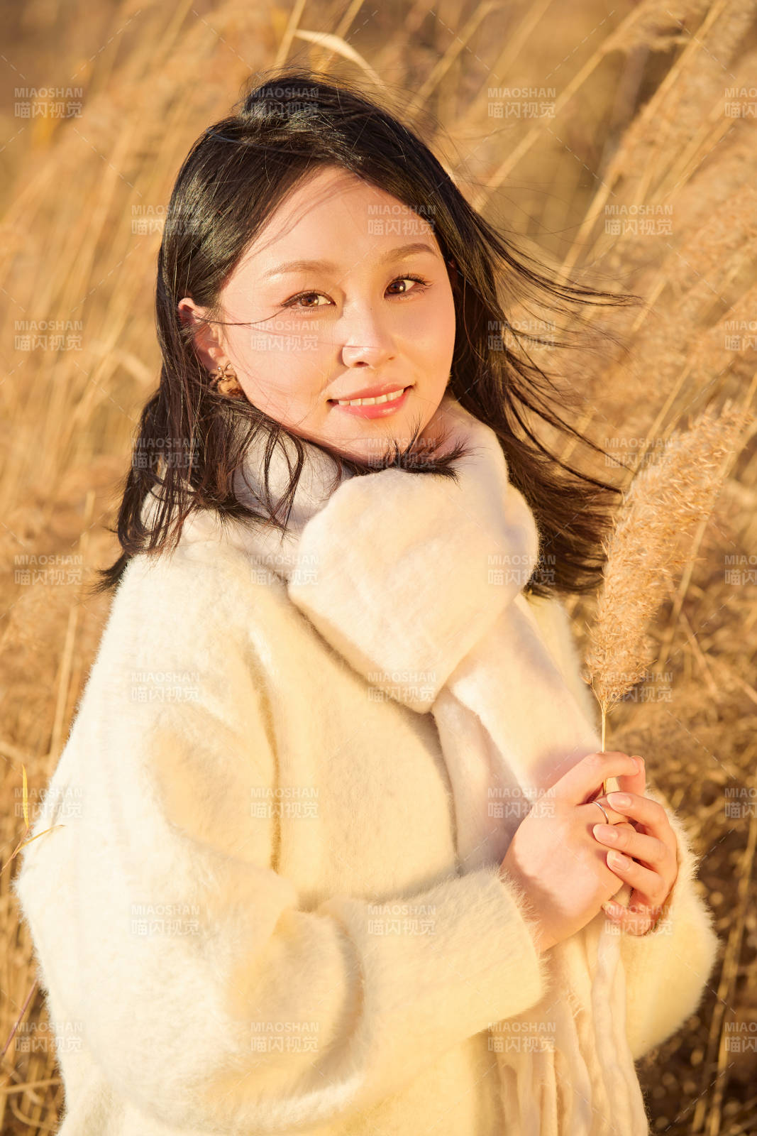 秋天午后在金灿灿的芦苇荡里的亚洲美女图片