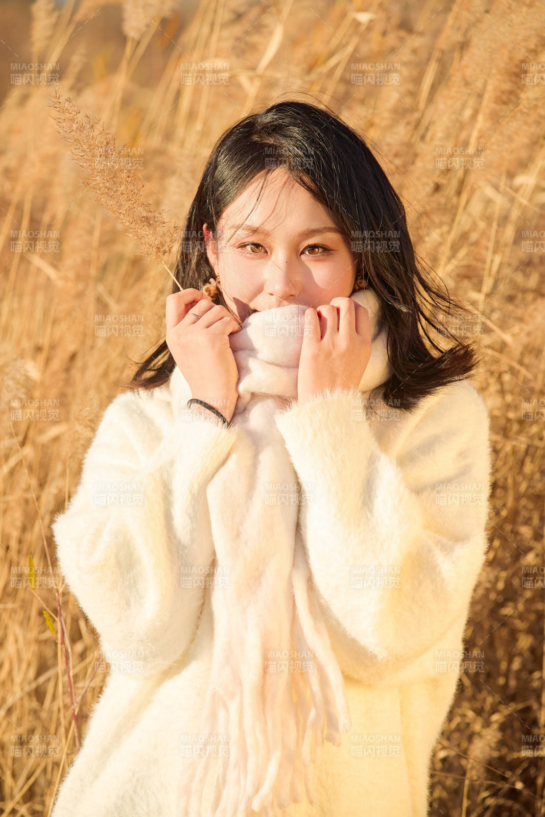 秋天午后在金灿灿的芦苇荡里的亚洲美女图片