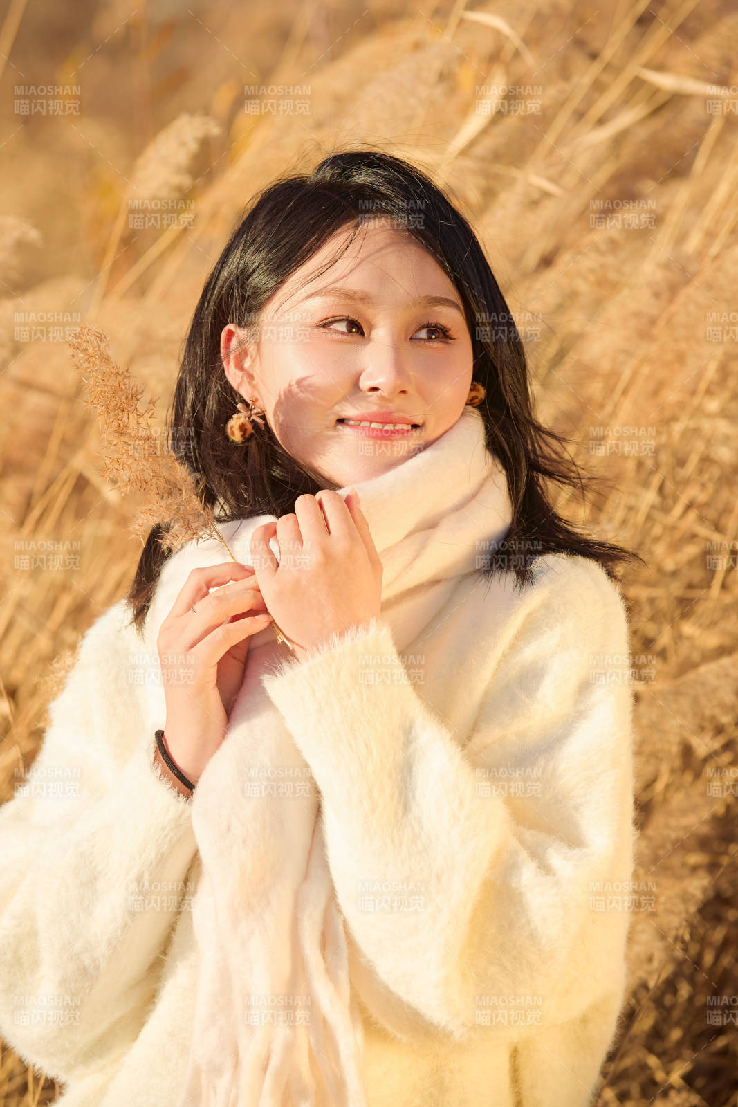 秋天午后在金灿灿的芦苇荡里的亚洲美女图片