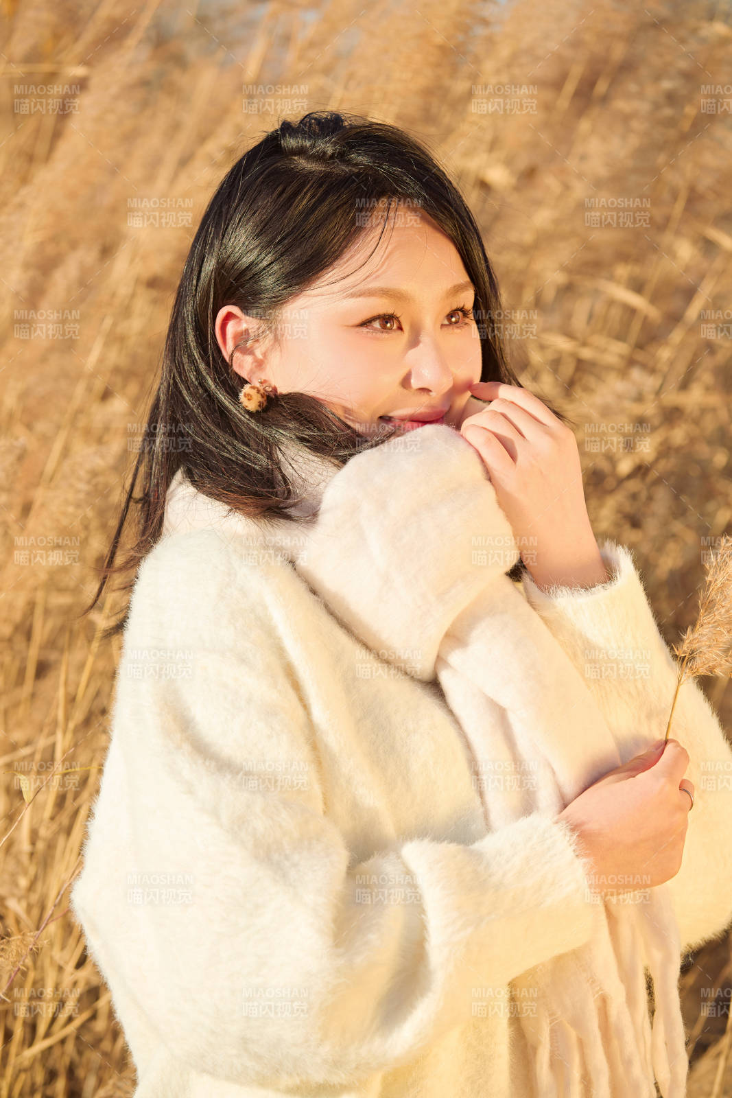 秋天午后在金灿灿的芦苇荡里的亚洲美女图片