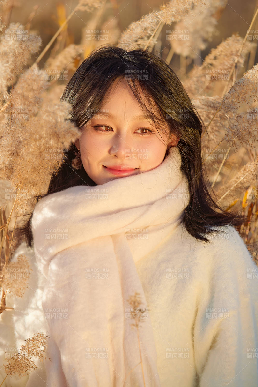 秋天午后在金灿灿的芦苇荡里的亚洲美女图片
