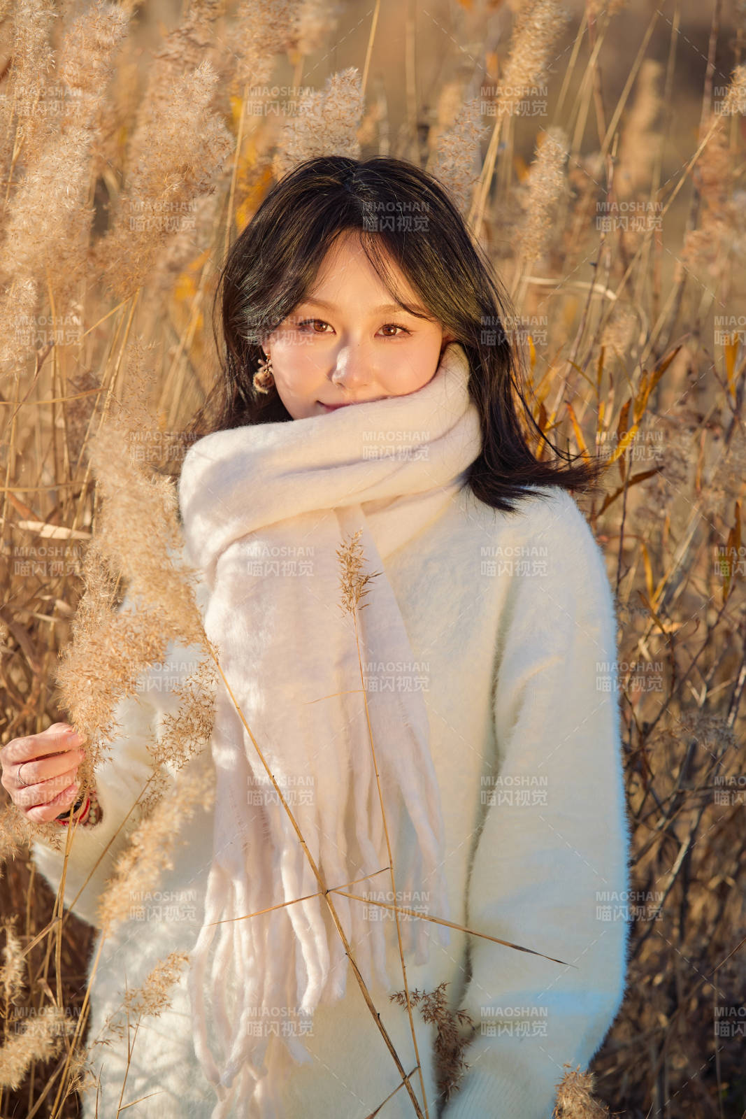 秋天午后在金灿灿的芦苇荡里的亚洲美女图片