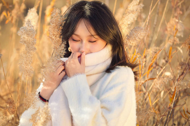 秋天午后在金灿灿的芦苇荡里的亚洲美女图片