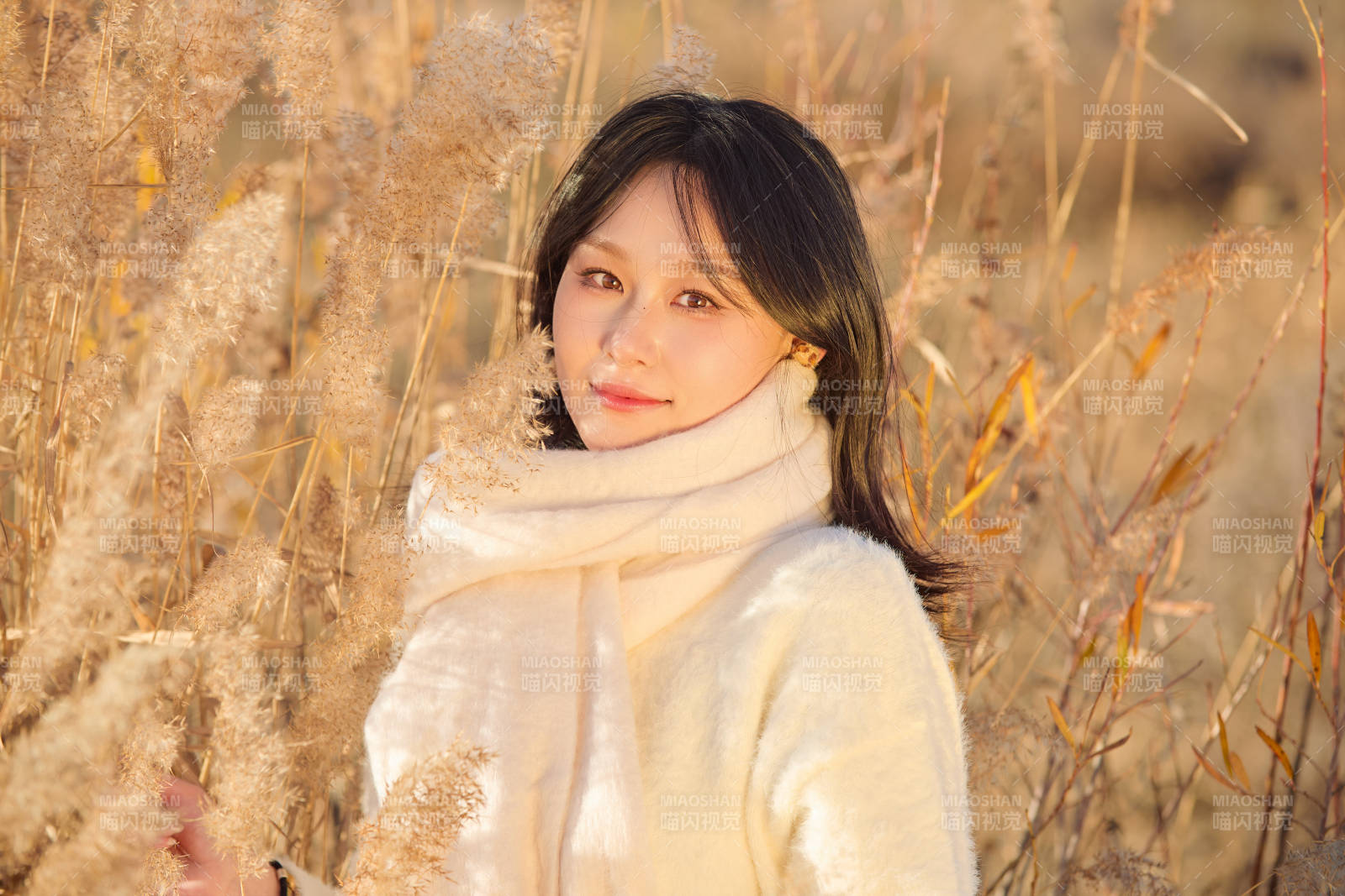 秋天午后在金灿灿的芦苇荡里的亚洲美女图片