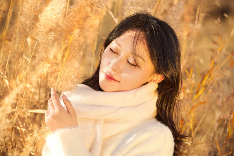秋天午后在金灿灿的芦苇荡里的亚洲美女图片