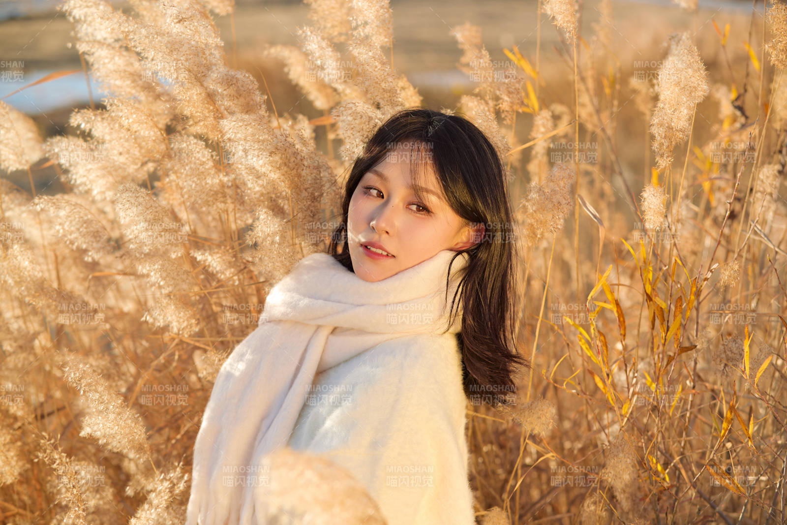 秋天午后在金灿灿的芦苇荡里的亚洲美女图片