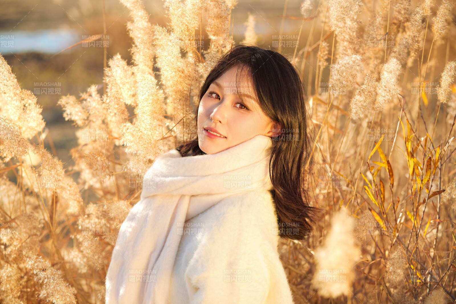 秋天午后在金灿灿的芦苇荡里的亚洲美女图片