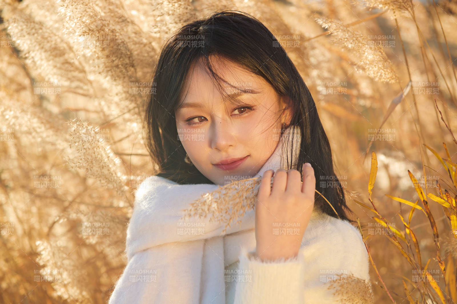 秋天午后在金灿灿的芦苇荡里的亚洲美女图片