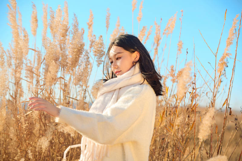 秋天晴朗的午后在芦苇荡里起舞的美女图片