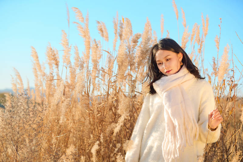 秋天晴朗的午后在芦苇荡里起舞的美女图片