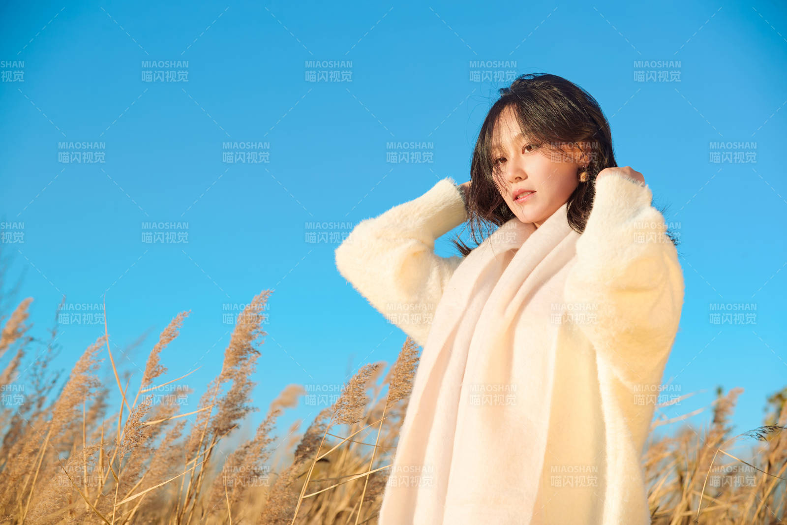 秋天晴朗的午后在芦苇荡里起舞的美女图片