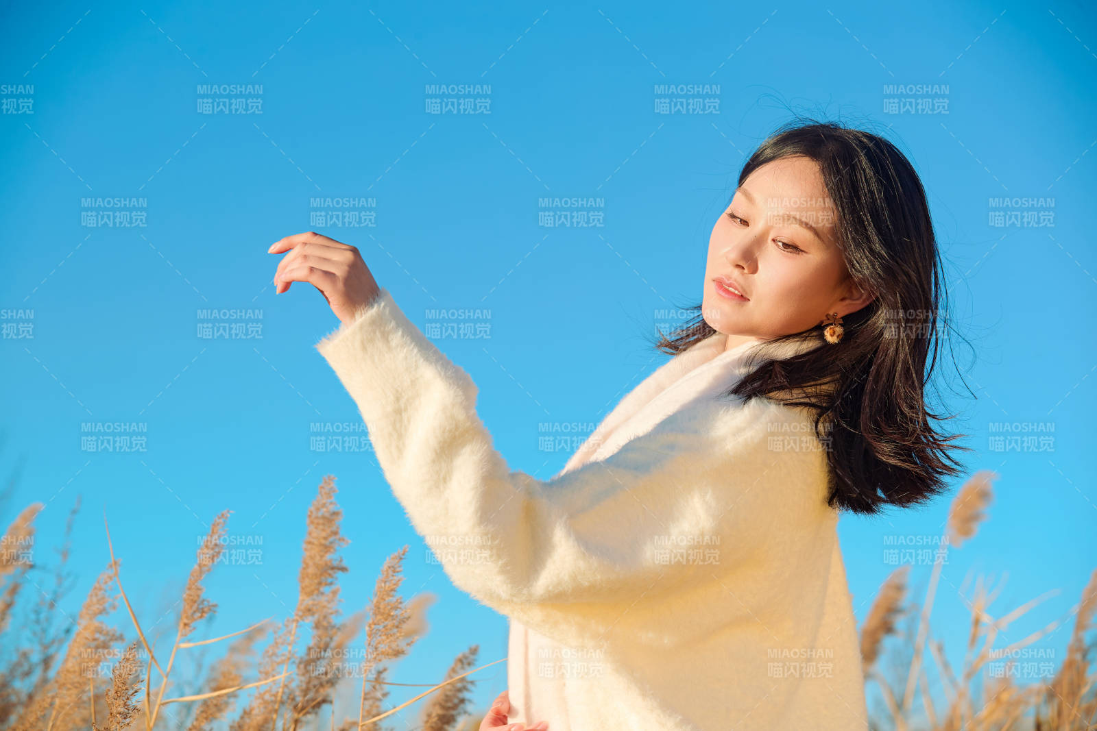 秋天晴朗的午后在芦苇荡里起舞的美女图片