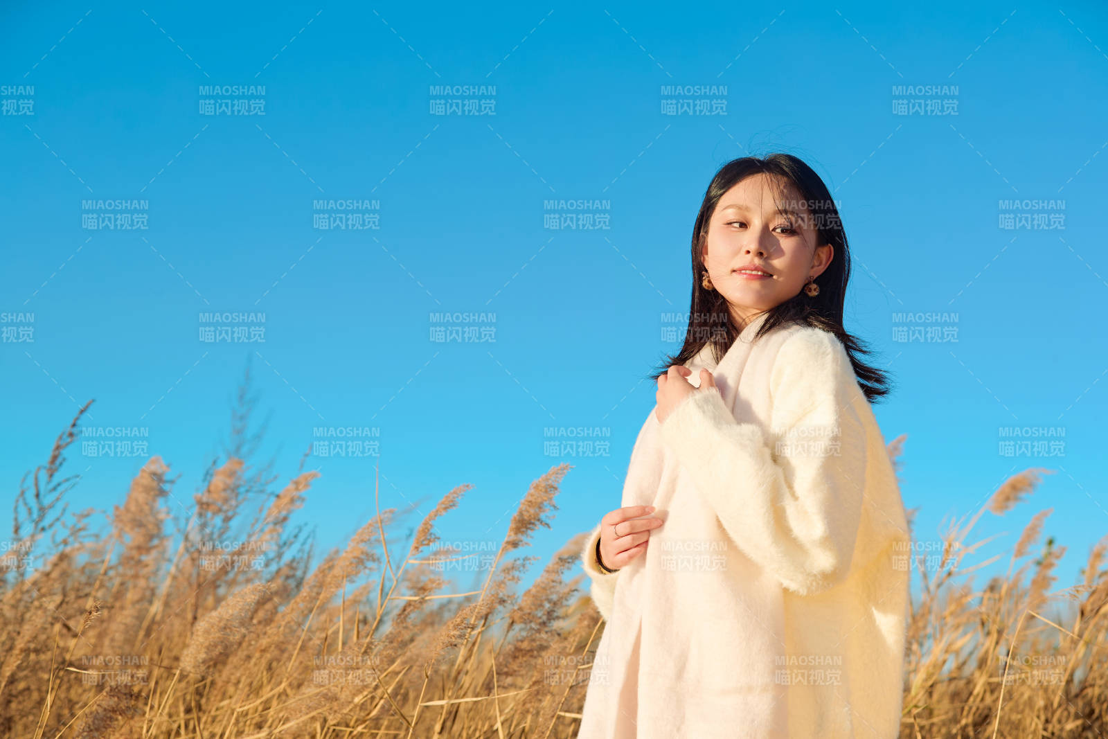 秋天晴朗的午后在芦苇荡里起舞的美女图片