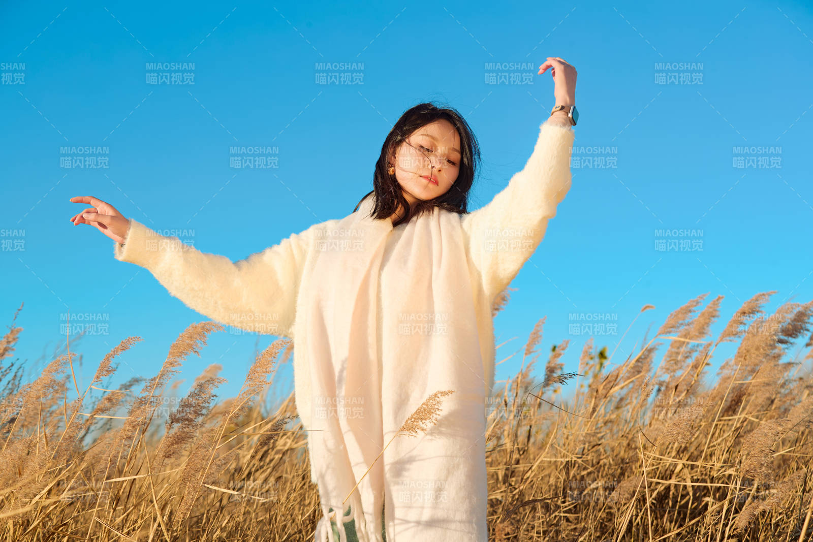 秋天晴朗的午后在芦苇荡里起舞的美女图片