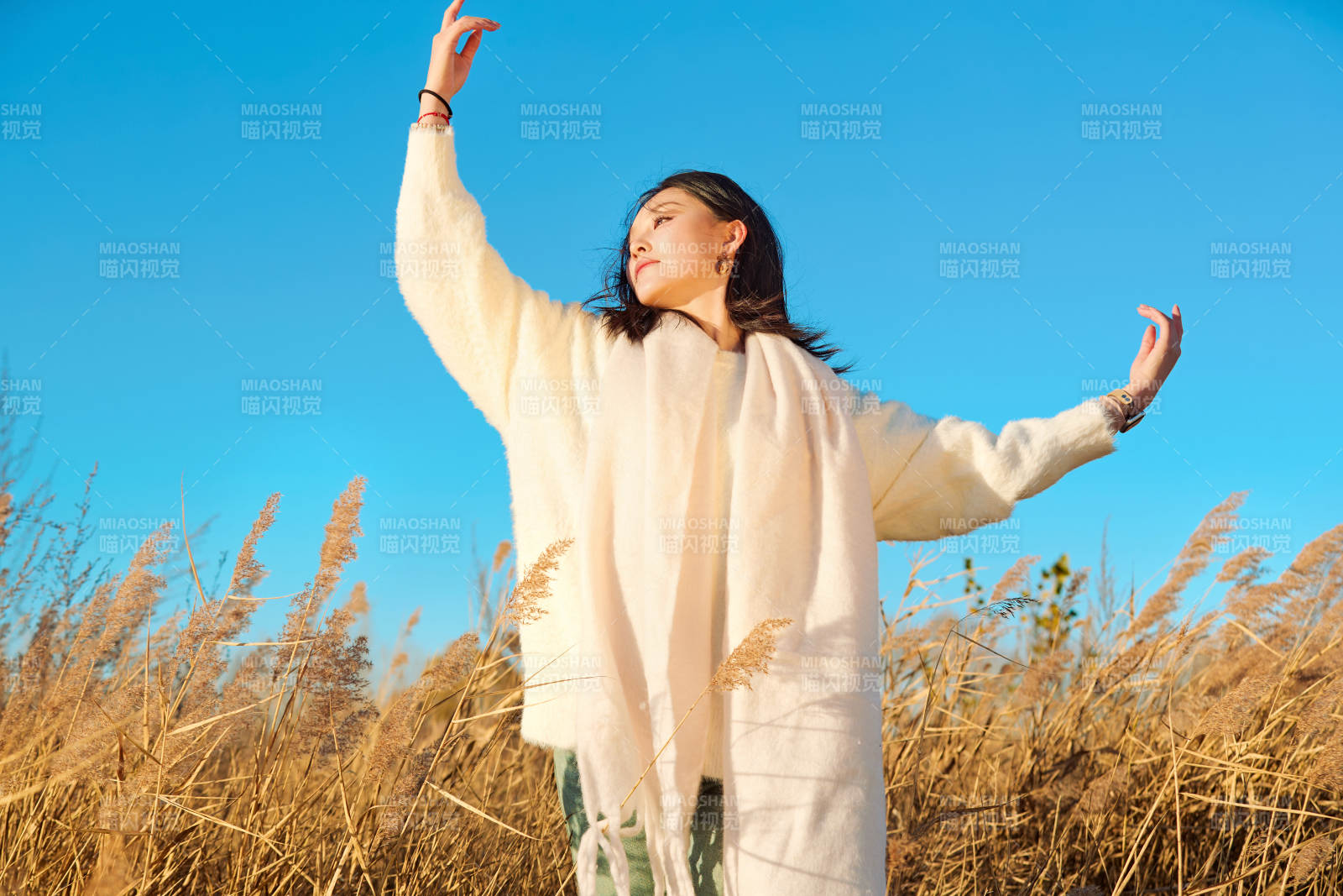 秋天晴朗的午后在芦苇荡里起舞的美女图片