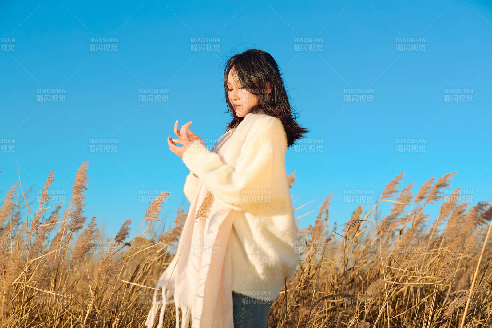 秋天晴朗的午后在芦苇荡里起舞的美女图片