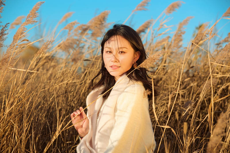 秋天晴朗的午后在芦苇荡里起舞的美女图片