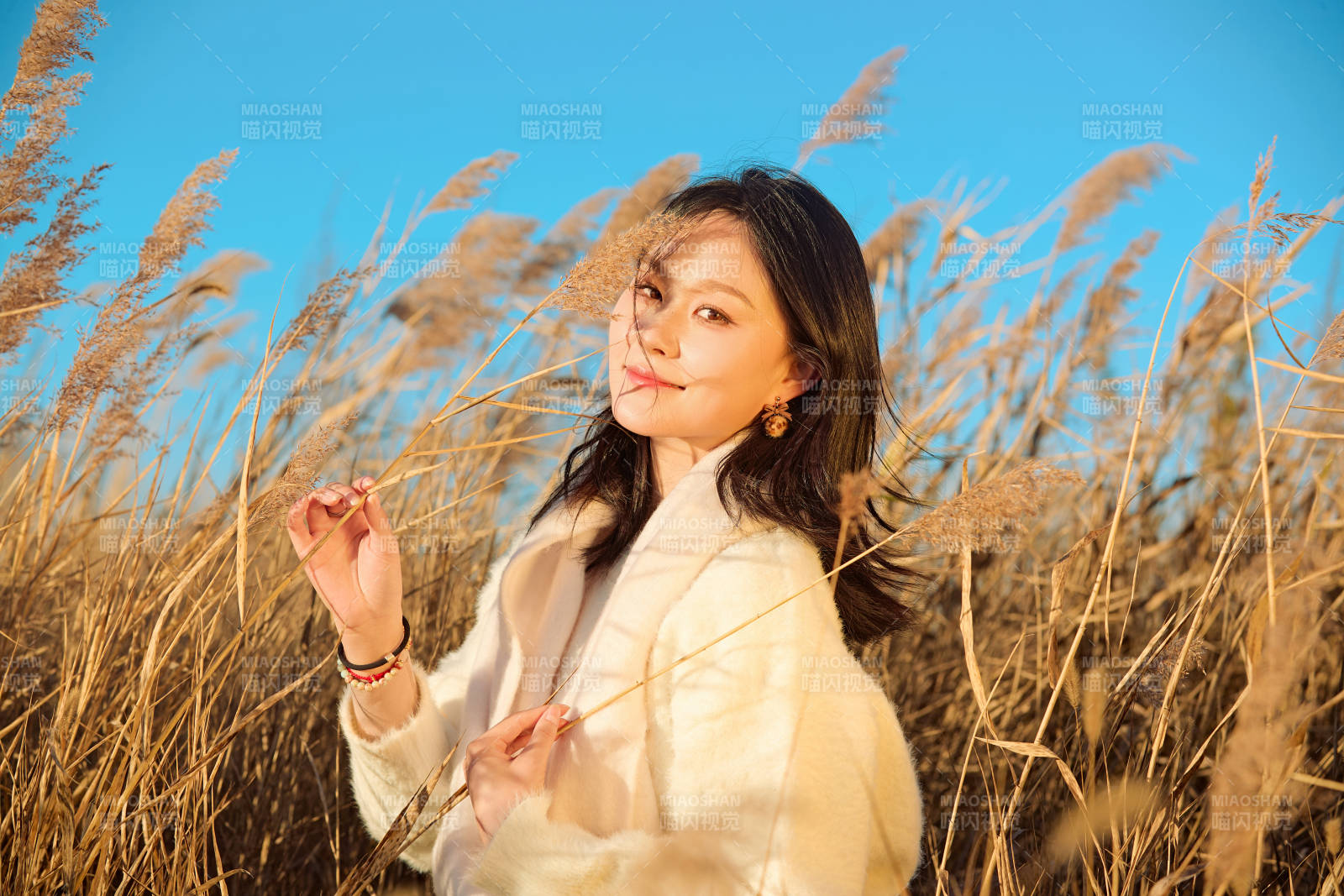 秋天晴朗的午后在芦苇荡里起舞的美女图片