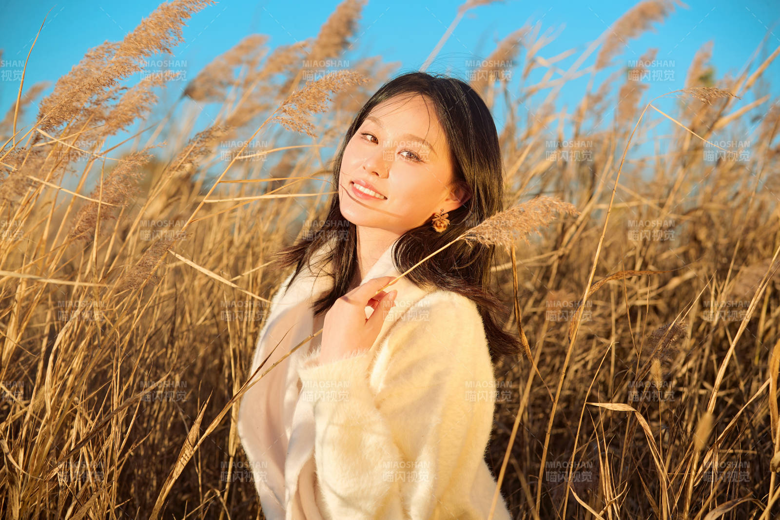 秋天晴朗的午后在芦苇荡里起舞的美女图片