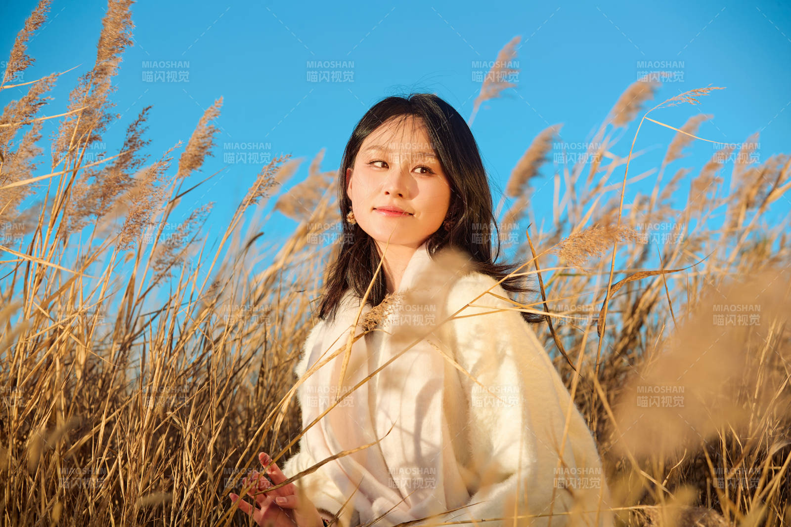 秋天晴朗的午后在芦苇荡里起舞的美女图片