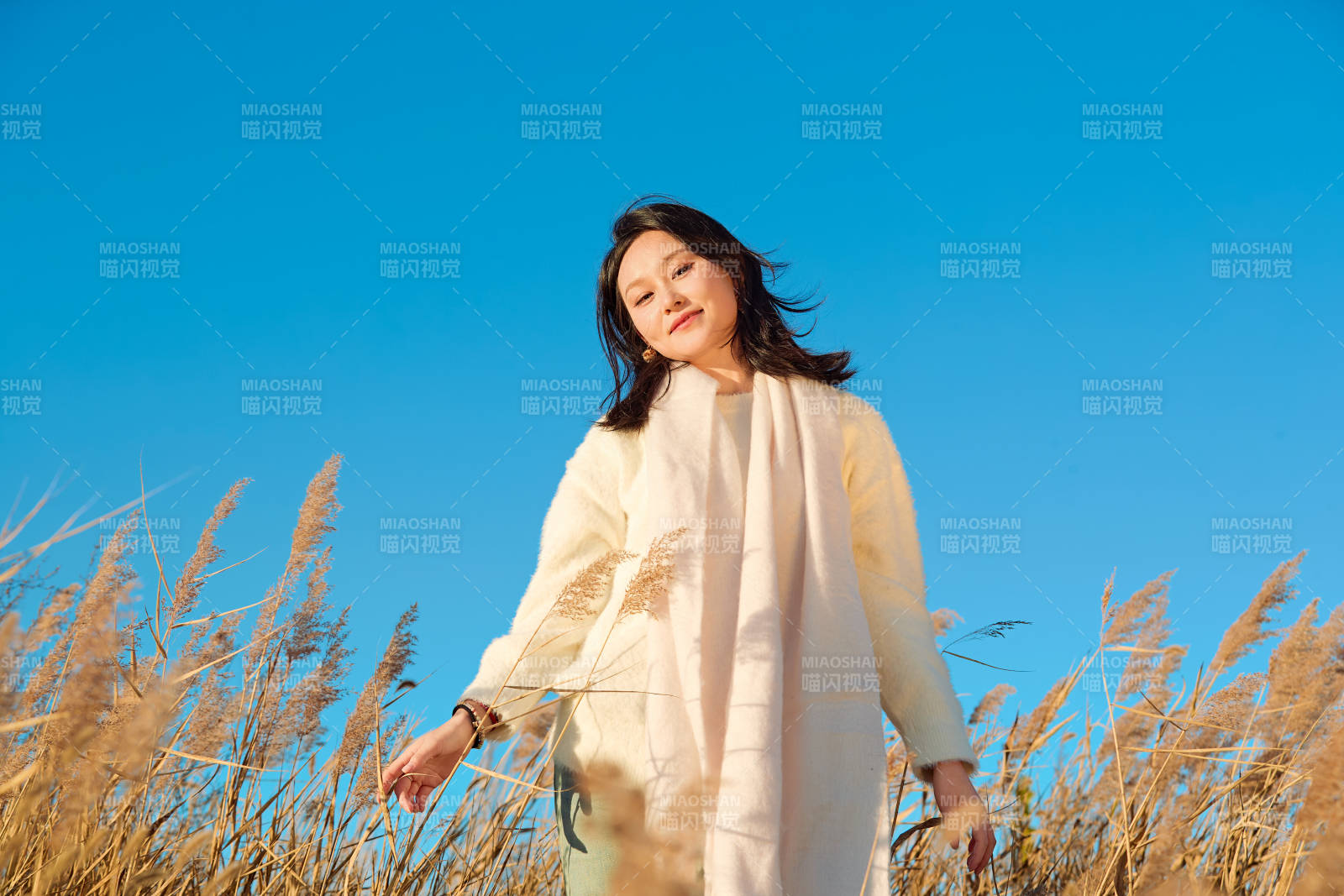 秋天晴朗的午后在芦苇荡里起舞的美女图片