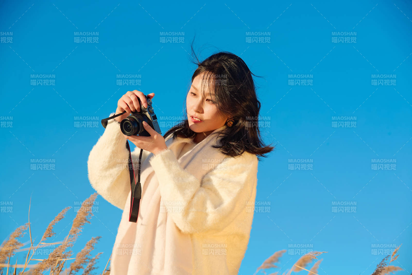秋天晴朗的午后在芦苇荡里拍照的女性摄影师图片