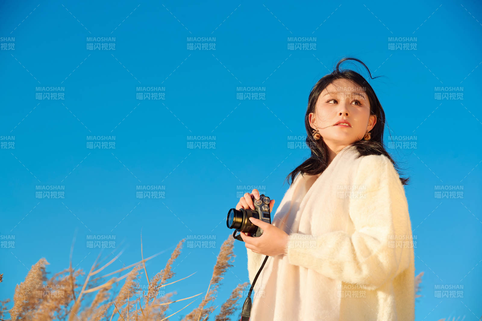 秋天晴朗的午后在芦苇荡里拍照的女性摄影师图片