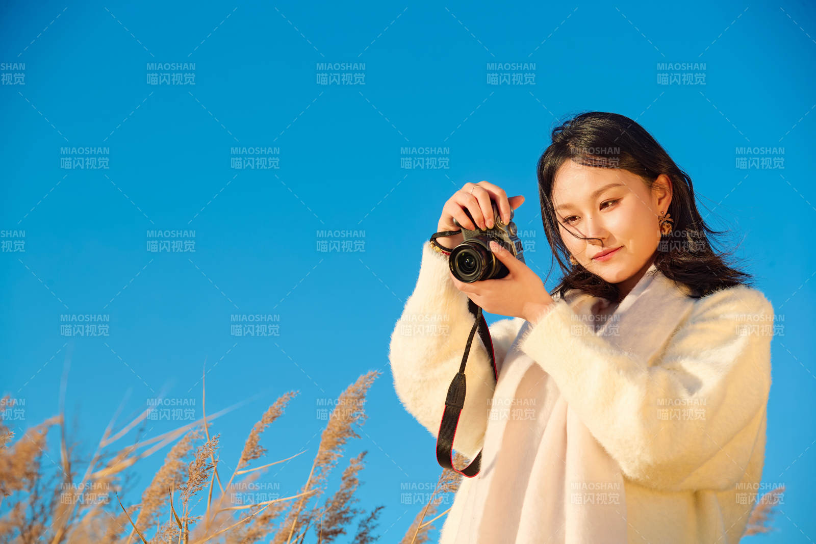 秋天晴朗的午后在芦苇荡里拍照的女性摄影师图片