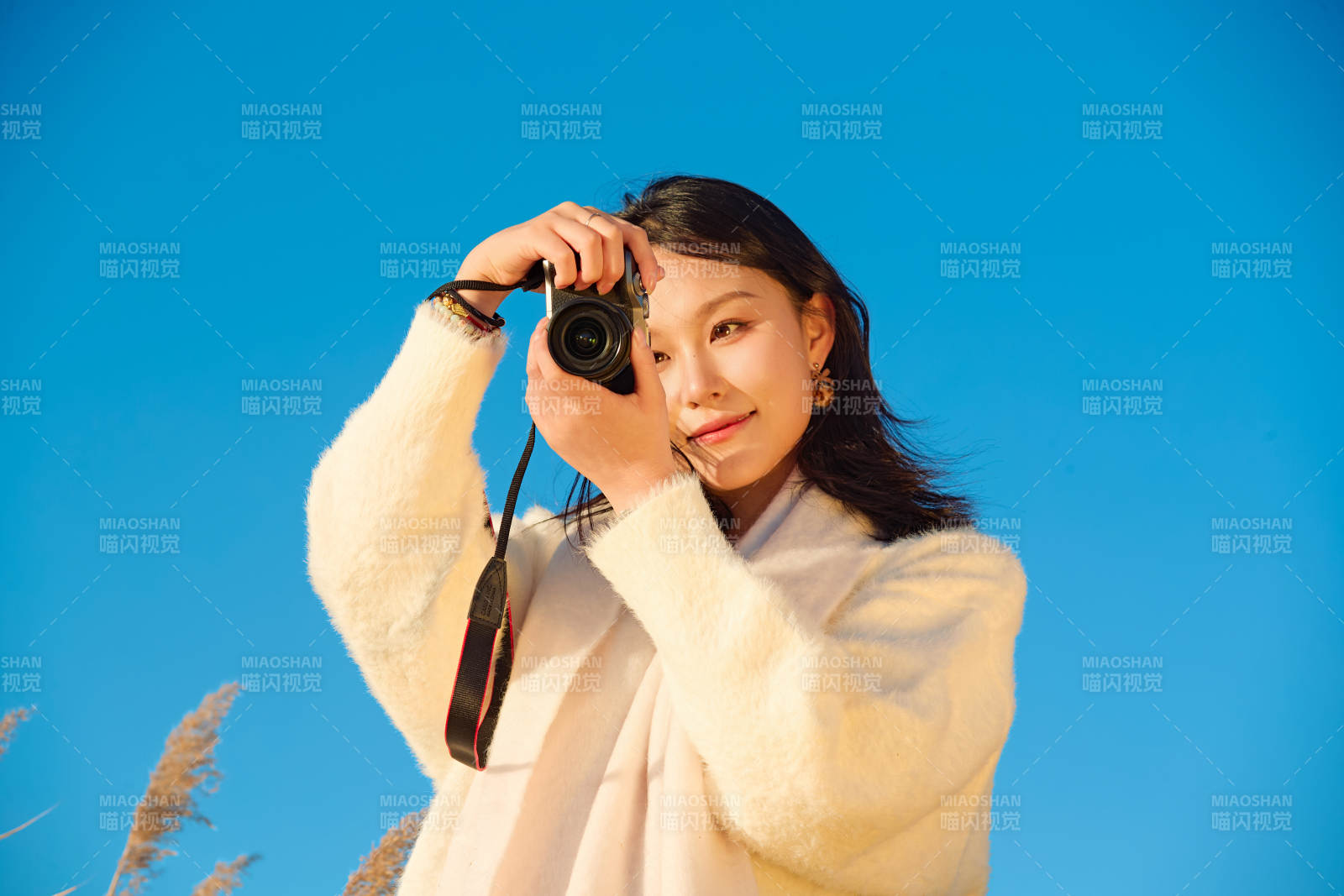 秋天晴朗的午后在芦苇荡里拍照的女性摄影师图片