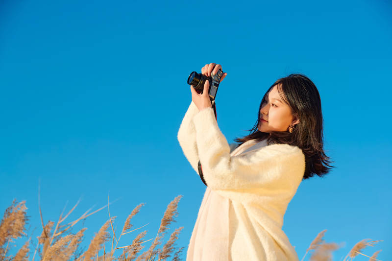 秋天晴朗的午后在芦苇荡里拍照的女性摄影师图片