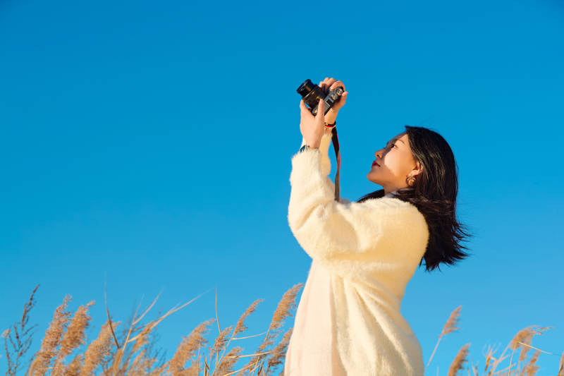 秋天晴朗的午后在芦苇荡里拍照的女性摄影师图片